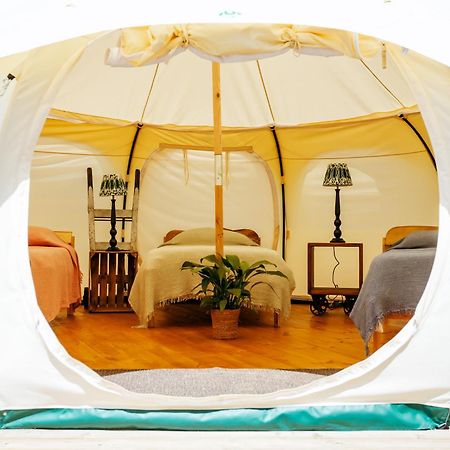 Luxury Glamping Retreat In Battle Villa Ngoại thất bức ảnh