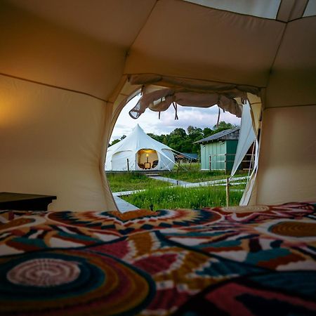 Luxury Glamping Retreat In Battle Villa Ngoại thất bức ảnh