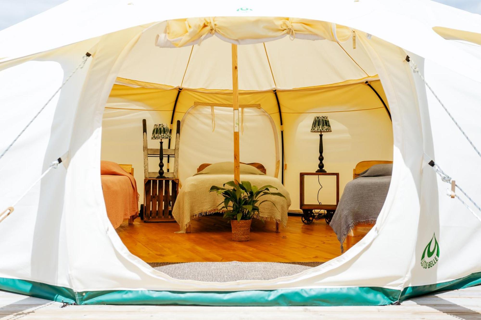 Luxury Glamping Retreat In Battle Villa Ngoại thất bức ảnh