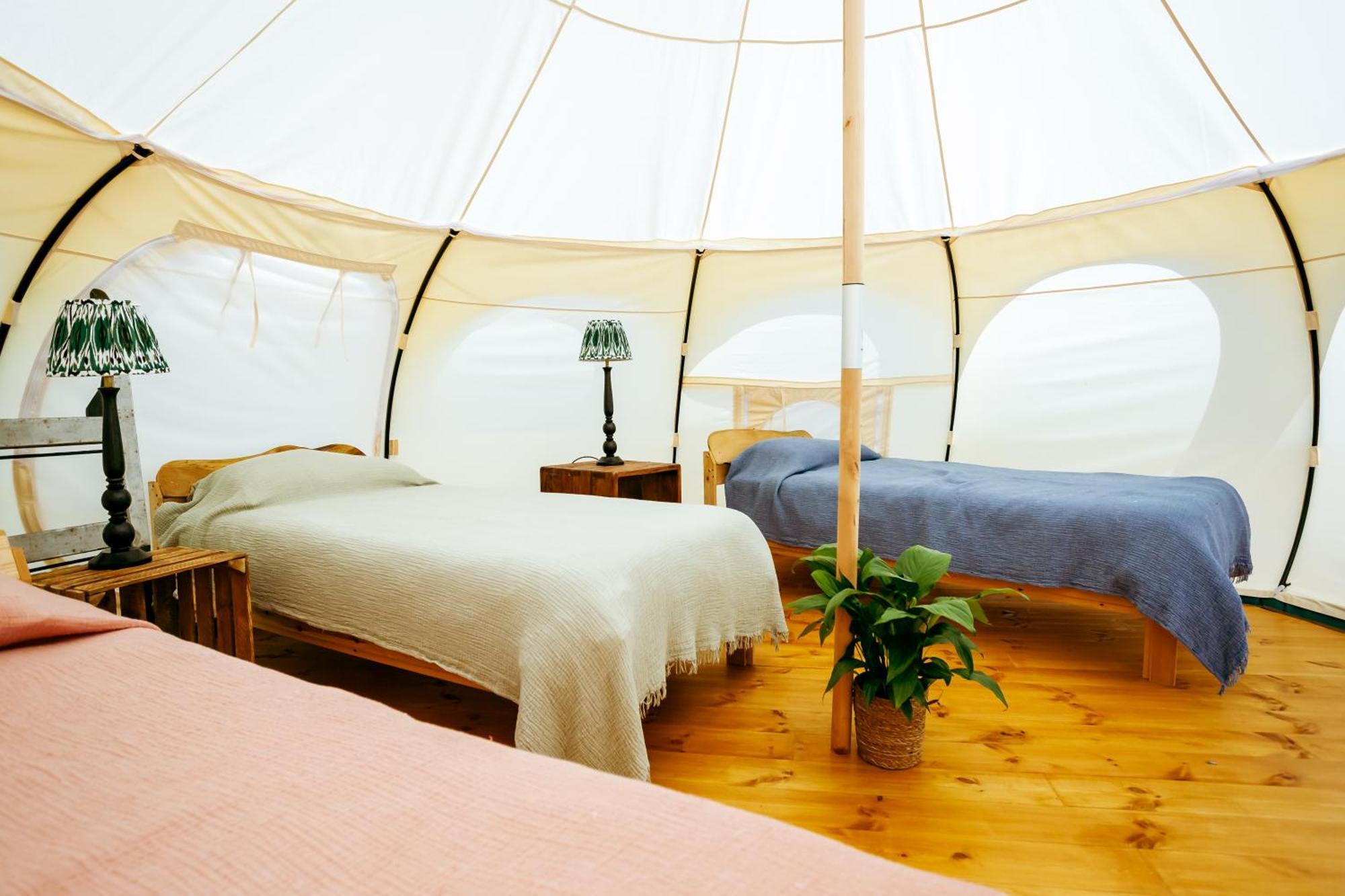 Luxury Glamping Retreat In Battle Villa Ngoại thất bức ảnh